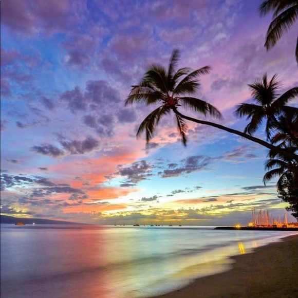 Meet your Posher, Kimber 🙋🏼‍♀️ - Picture 1 of 1